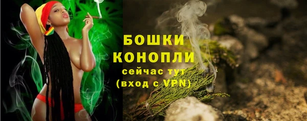 спайс Бородино