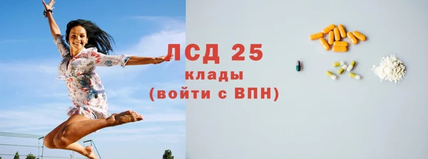 спайс Бородино